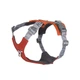 Шлейка для крупных пород собак Hurtta Rover Harness Оранжевый 45-60 (934848) - изображение 1