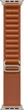 Ремешок Apple Alpine Loop Natural Titanium Finish для Apple Watch 44/45/46/49mm L Terra Cotta (MFTD4ZM/A) - изображение 1