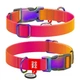 Ошейник для собак нейлоновый Collar WAUDOG Nylon Recycled с QR паспортом Ш 15 мм Дл 25-35 см Градиент - изображение 1