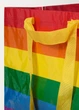 Водонепроницаемая подарочная сумка Радужный ЛГБТ для покупок Rainbow LGBT IKEA, 71 л - изображение 3