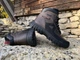 Спортивные кожаные ботинки на меху Timberland Waterproof 40 - изображение 8