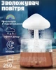 Увлажнитель воздуха с эффектом дождя подсветкой RGB в виде гриба капельный RAIN HUMIDIFIER с основанием под дерево (белый) - изображение 1
