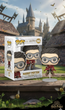Фигурка Гарри Поттер узник Азкабана Harry Potter Prisoner of Azkaban Фанко поп Funko Pop 10 см № 165 - изображение 1