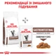 Royal Canin Gastro Intestinal Moderate Calorie Cat Сухий Корм ​​Для Котів При Розладах Травлення (Підшлункова) 2 кг (3182550771290) (40080201) - зображення 5
