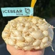Лук-севок Айсбеар, 0,5 кг, Broer - изображение 2