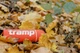 Термос TRAMP Soft Touch 1 л UTRC-109 Помаранчевий (201352) UTRC-109-orange - зображення 3