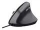 Миша Trust Bayo 2 Ergonomic Black (25144) - изображение 1