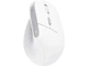 Миша Trust Bayo 2 Ergonomic Wireless White (25398) - изображение 6