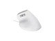 Миша Trust Bayo 2 Ergonomic White (25397) - изображение 6