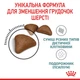 Royal Canin Hairball Care Сухий Корм ​​Для Котів Виведення Шерсті 0,4 кг (3182550721394) (2534004) - зображення 6