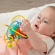 Гризунець-брязкальце «Еліпс» Kiokids (3995) - зображення 4
