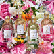 Туалетна вода унісекс Guerlain Aqua Allegoria Rosa Verde 125 мл (3346470149137) - зображення 3