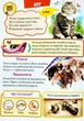 Велика книга знань для малюків - изображение 5