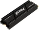 Накопитель SSD M.2 Kingston FURY Renegade with Heatsink 4TB 2280 NVMe (SFYRDK/4000G) - изображение 2