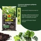 Торфосуміш Compo Sana для зелених​ рослин і пальм 10 л (1431) - изображение 9