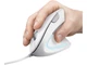 Миша Trust Verto Ergonomic White (25133) - зображення 2