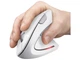 Миша Trust Verto Wireless Ergonomic White (25132) - изображение 4