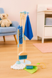 Drewniany zestaw do sprzątania EcoToys dla dzieci: mop zmiotka z szufelką 7 elementów (5905817007356) - obraz 7