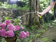 Шланг Karcher Performance Plus 1/2 - 20 м (2.645-318.0) - зображення 6