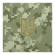 Ежедневник датированный Buromax Military из искусственной кожи А5 336 страниц Хаки (BM.21134-59) - изображение 11