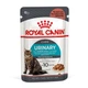 Влажный корм для кошек Royal Canin Urinary Care Gravy для поддержания здоровья мочевыводящих путей, 85 г - изображение 7