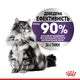 Вологий корм для кішок Royal Canin Light Weight Care для обмеження набору зайвої ваги, 85 г - зображення 3