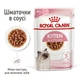 Вологий корм для кошенят Royal Canin Kitten Chunks in jelly, 85 г - зображення 2