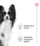 Влажный корм для собак миниатюрных пород Royal Canin X-Small Adult 85 г - изображение 2
