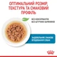 Влажный корм для щенков мелких пород Royal Canin Mini Puppy 85 г - изображение 3