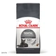 Корм для кошек Royal Canin Dental Care для уменьшения образования зубного налета, 400 г - изображение 1