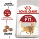 Корм для кошек Royal Canin FIT 32 до 7 лет, 400 г - изображение 2