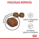 Корм для кошек Royal Canin Dental Care для уменьшения образования зубного налета, 400 г - изображение 3