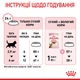 Корм для кошенят Royal Canin Kitten Sterilised для стерилізованих, 2 кг - зображення 5