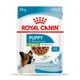 Влажный корм для щенков миниатюрных пород Royal Canin X-Small Puppy 85 г - изображение 1
