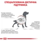 Корм для собак Royal Canin Gastrointestinal Low Fat при расстройствах пищеварения, 1,5 кг - изображение 2