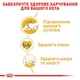 Корм для кошек породы Мейн-Кун Royal Canin Maine Coon Adult 10 кг - изображение 4