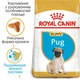 Корм для щенков породы Мопс Royal Canin Pug Puppy 1,5 кг - изображение 2