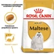 Корм для собак породы Мальтийская Болонка Royal Canin Maltese Adult 0,5 кг - изображение 2