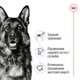Корм для собак крупных пород Royal Canin Maxi Adult 15 кг - изображение 2