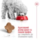 Корм для собак дрібних порід Royal Canin Mini Adult 8+, 0,8 кг - зображення 3