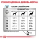 Корм для собак Royal Canin Skin Care при дерматитах и выпадении шерсти, 11 кг - изображение 5