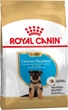 Корм для цуценят породи Німецька Вівчарка Royal Canin German Shepherd Puppy 12 кг - зображення 1