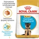 Корм для цуценят породи Німецька Вівчарка Royal Canin German Shepherd Puppy 12 кг - зображення 2