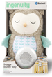 М'яка музична іграшка Ingenuity Snuggle Sounds Nally (12477) (074451124776) - зображення 2