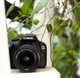 Фотоаппарат Canon EOS 4000D BK 18-55 (3011C004AA) - изображение 9