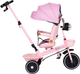 Rowerek trójkołowy spacerówka EcoToys WQL-186 PINK (5905817007219) - obraz 5