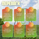 Качеля Spoko SP-S01 садовая для детей на металлических стойках для дачи улицы детского сада двора дома - изображение 3