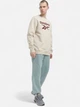 Свитшот мужской Reebok 3F RI FLC Big Logo Cre IM3948 S Бежевый (4066763545079) - изображение 3