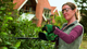Akumulatorowe nożyce Bosch EasyHedgeCut 18-45 solo (0600849H03) - obraz 4