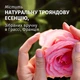 Маска для волосся "Троянда" - Herbal Essences Petal Soft Rose Scent Hair Mask 300ml (1315381-3975463) - изображение 3